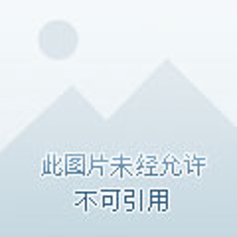 绿化养护:城市绿肺的守护者